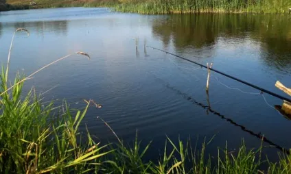 Підбір повідця для поплавковою снасті (дробовиків нарізних штуцерів) Підбір повідця для поплавковою снасті