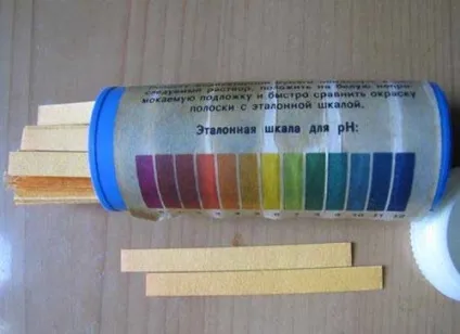 Чому жовтіє і червоніє кріп, що робити, ніж підгодувати, городник (чим полити кріп щоб не половів) Чому жовтіє і червоніє кріп, що робити, ніж підгодувати, городник
