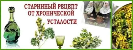 Полин гіркий лікувальні властивості, застосування, протипоказання (властивості) Полин гіркий лікувальні властивості, застосування, протипоказання