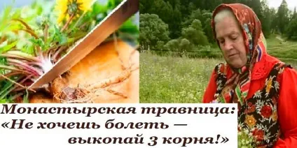 Корисні поради, корисні поради (активне зростання трав Тому) Корисні поради, корисні поради