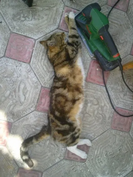Полку для спецій своїми руками 1 (спецій) Полку для спецій своїми руками 1
