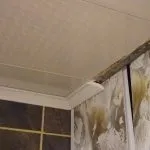 Стельовий плінтус для пвх панелей