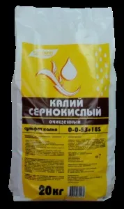 Помідори балконний диво - як вирощувати вдома (вирощувати) Помідори балконний диво - як вирощувати вдома
