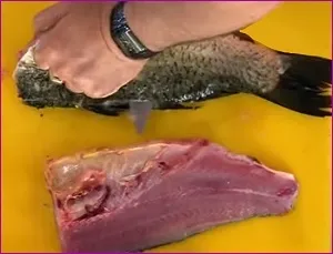 Користь коропа і шкоду коропа