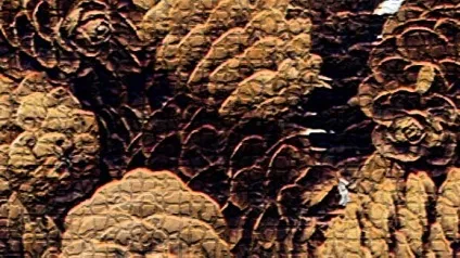 Користь і шкода кедрових горіхів для організму жінок і чоловіків, протипоказання (кедрових) Користь і шкода кедрових горіхів для організму жінок і чоловіків, протипоказання
