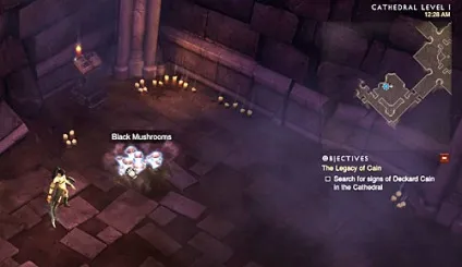 Поні diablo 3 рідка веселка і інші речі (онлайн-магазин гри Діабло 3) Поні diablo 3 рідка веселка та інші речі