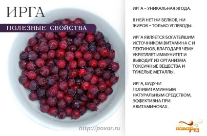 Користь ірги - чим корисна ірга для здорового організму (значення кулінарних продуктів) Користь ірги - чим корисна ірга для здорового організму