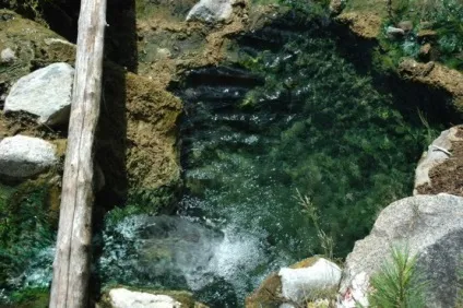 Користь і шкода газованої води (шкода) Користь і шкода газованої води