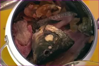 Користь коропа і шкоду коропа