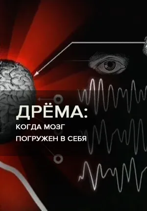 Пізнавальні документальні фільми - дивитися онлайн науково-пізнавальне відео безкоштовно (пізнавальні документальні фільми дивитися онлайн науково-пізнавальне відео безкоштовно) Пізнавальні документальні фільми - дивитися онлайн науково-пізнавальне відео безкоштовно