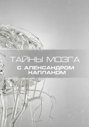 Пізнавальні документальні фільми - дивитися онлайн науково-пізнавальне відео безкоштовно (пізнавальні документальні фільми дивитися онлайн науково-пізнавальне відео безкоштовно) Пізнавальні документальні фільми - дивитися онлайн науково-пізнавальне відео безкоштовно