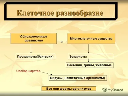 Презентація на тему різноманіття форм живих організмів різноманіття форм живих організмів (різноманіття форм живих організмів різноманіття форм живих організмів.) Презентація на тему різноманіття форм живих організмів різноманіття форм живих організмів