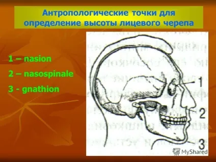 Презентація на тему лекція 4 - обстеження пацієнтів в клініці ортопедичної стоматології - (обстеження) Презентація на тему лекція 4 - обстеження пацієнтів в клініці ортопедичної стоматології -