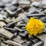 Поради зберегти враження - життя як подорож (подорож) Поради зберегти враження - життя як подорож