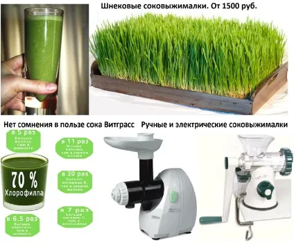 Порівняємо шнековая соковижималка і центріфужная соковижималка (ручна шнековая соковижималка) Порівняємо шнековая соковижималка і центріфужная соковижималка