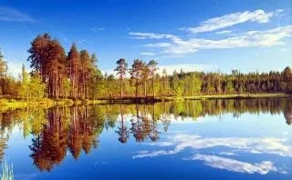 Природа, рослини і тварини Карелії