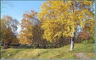 Природа Карелії, подорож по Карелії