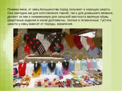 Презентація - вівця - завантажити безкоштовно