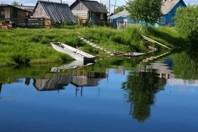 Природа, рослини і тварини Карелії