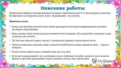 Презентація на тему проект з біології - вирощування цибулі на підвіконні - муніципальне бюджетне