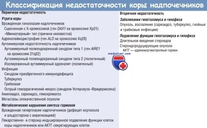 Причини і механізми розвитку первинної хронічної недостатності надниркових залоз