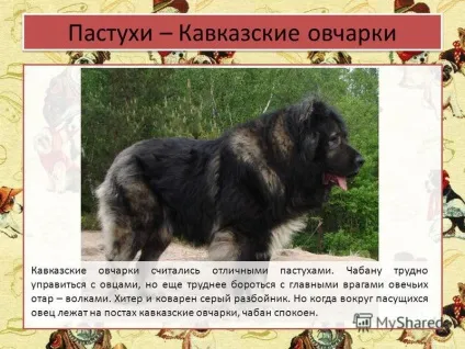 Презентація на тему собачі професії