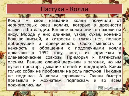 Презентація на тему собачі професії