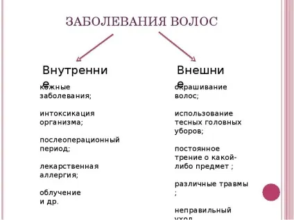 Презентація по темі догляд за волоссям, шкірою, руками, нігтями (руками) Презентація по темі догляд за волоссям, шкірою, руками, нігтями