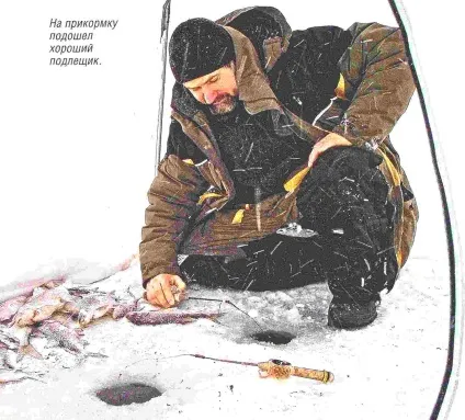 Прикормка для риболовлі, російська рибалка