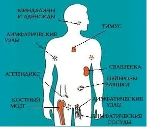 Щеплення - «просто укольчик», або втрата імунітету, вакцинація - панацея чи смерть (Поліо) Щеплення - «просто укольчик», або втрата імунітету, вакцинація - панацея чи смерть