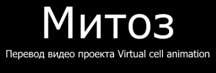 Профаза мітозу клітини