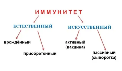 Щеплення - «просто укольчик», або втрата імунітету, вакцинація - панацея чи смерть (мертиолят) Щеплення - «просто укольчик», або втрата імунітету, вакцинація - панацея чи смерть