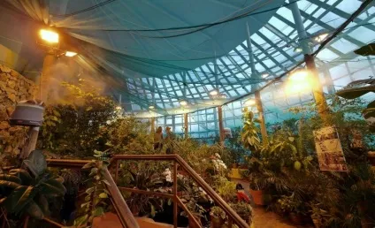Прогулянка по ввц - як цікаво і з користю провести час всією родиною - (всієї) Прогулянка по ввц - як цікаво і з користю провести час всією родиною -