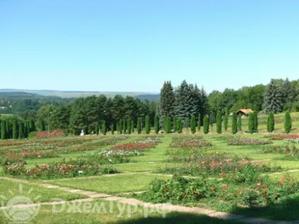 Природні лікувальні ресурси курортів (часовий пояс) Природні лікувальні ресурси курортів