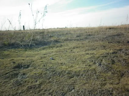 Прогулянки по золовідвалах (прогулянки) Прогулянки по золовідвалах