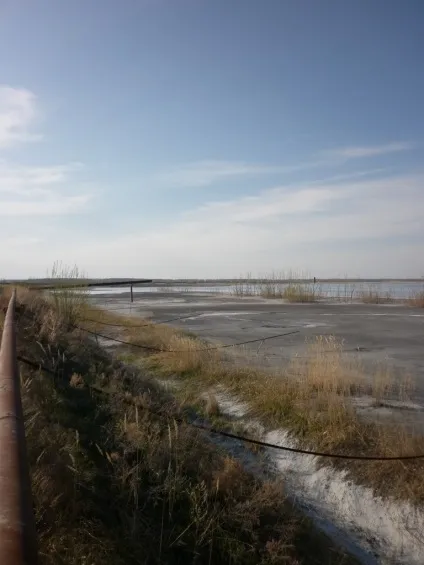 Прогулянки по золовідвалах (прогулянки) Прогулянки по золовідвалах