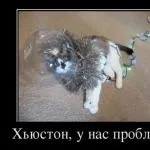 Психологічне кодування для схуднення (кодування) Психологічне кодування для схуднення