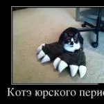 Психологічне кодування для схуднення (кодування) Психологічне кодування для схуднення