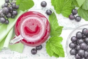 Прості і смачні компоти з чорної смородини (смачні) Прості і смачні компоти з чорної смородини