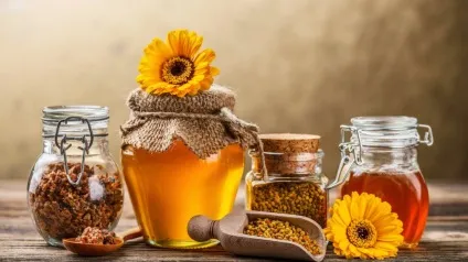 Прополіс застосування при лікуванні, властивості, рецепти (Курс лікування днів) Прополіс застосування при лікуванні, властивості, рецепти