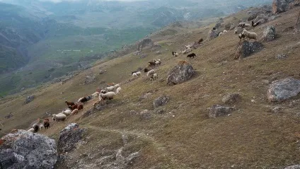 Подорожуючи по осетії Фіагдон, papaha (Фіагдон відпочинок) Подорожуючи по осетії Фіагдон, papaha