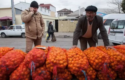 Шлях мандарина як дорожчають абхазькі фрукти по дорозі до Москви - новини Руан (дорозі) Шлях мандарина як дорожчають абхазькі фрукти по дорозі до Москви - новини Руан