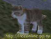 Раритетні вихованці, perfect world - російська база даних, freeonline (карта раритетних вихованців) Раритетні вихованці, perfect world - російська база даних, freeonline
