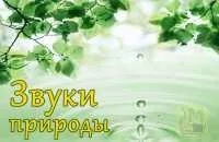 Радіо музики для сну