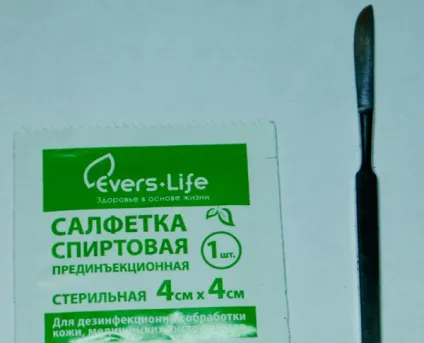 Розмноження стрептокарпуса фрагментом листа (фрагментом) Розмноження стрептокарпуса фрагментом листа