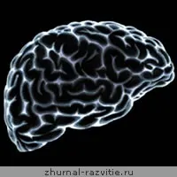 Розвиток мозку человка, вправи для розвитку мозку (розвиток мозку человка) Розвиток мозку человка, вправи для розвитку мозку