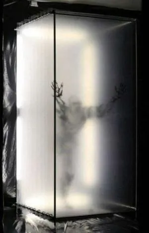 Реальна Чернігів, 2009 кульгаючи кінь