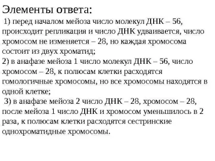 Рішення задач по цитології на застосування знань у