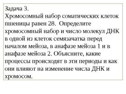 Рішення задач по цитології на застосування знань у