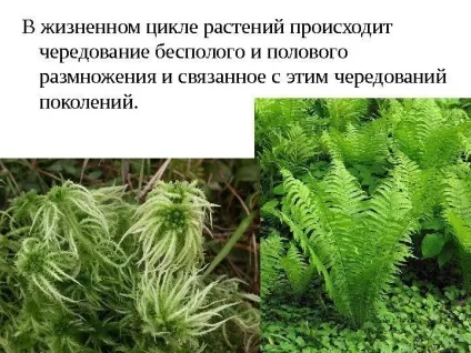 Рішення задач по цитології на застосування знань у